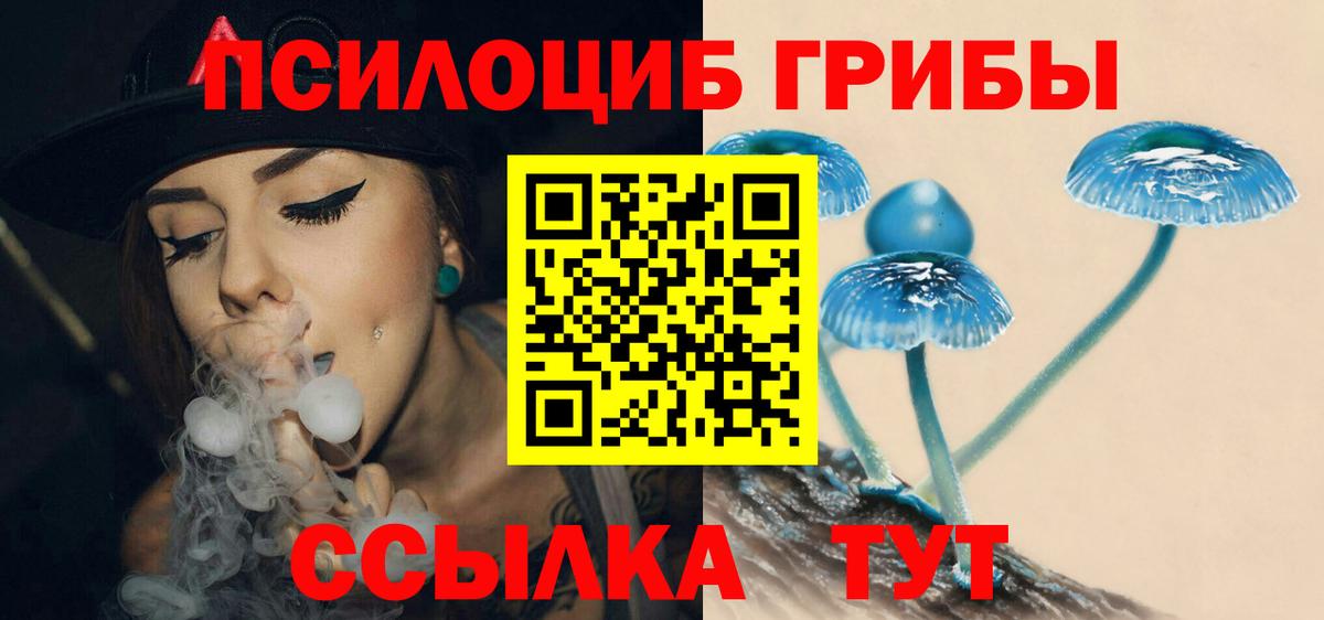 Вышний Волочёк  Галлюциногенные грибы Psilocybe  Вход с VPN 